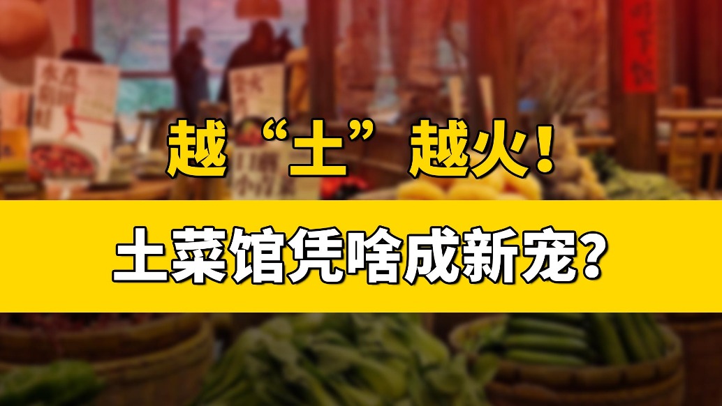 越“土”越火，土菜館憑啥成新寵？