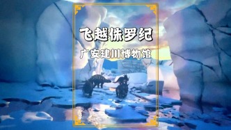 6分钟上天入地，飞越侏罗纪与恐龙作伴，广安这个博物馆绝对要火