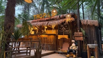 第一批“村咖”開不下去了，“主理人”們做錯(cuò)了什么？