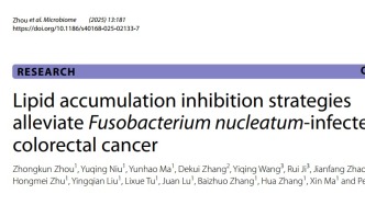 蘭州大學研究團隊在抗具核梭桿菌感染的結直腸癌研究方面取得新進展