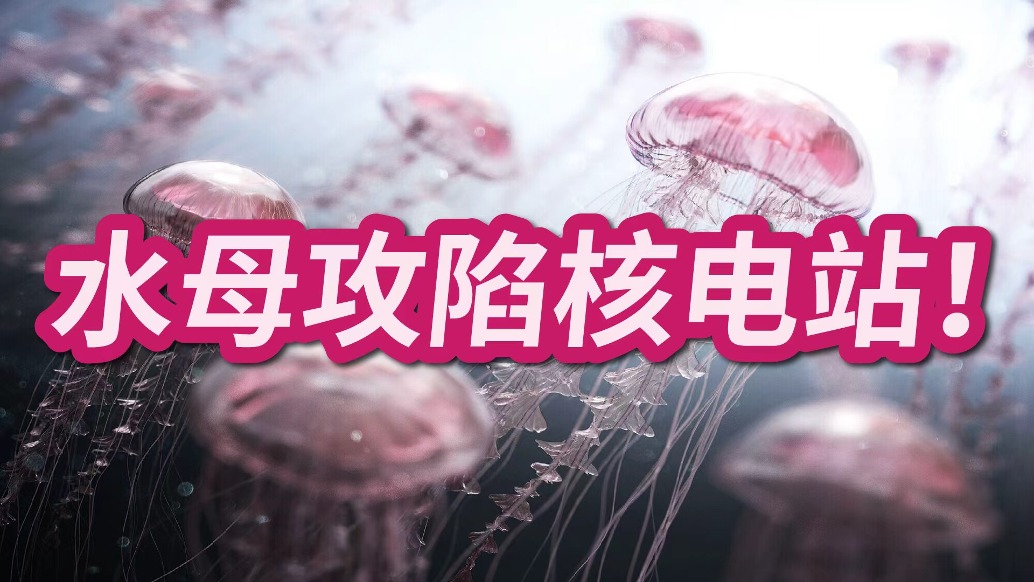 导弹都炸不穿,却被98%是水的水母,堵到停机罢工?