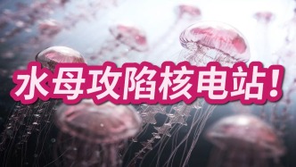 導(dǎo)彈都炸不穿，卻被98%是水的水母，堵到停機(jī)罷工？