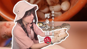 養(yǎng)一只鱷魚做寶寶寵物會(huì)怎么樣？探秘海南一個(gè)養(yǎng)著40萬只鱷魚的村莊