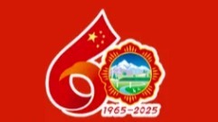 中央代表團(tuán)離開西藏返回北京