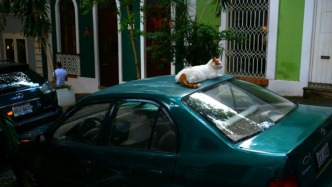 卖车越来越难了，汽车经销商们到底该如何转型求生？