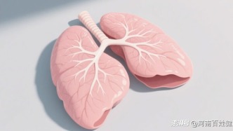 中国成功将基因编辑猪肺移植至人体，开启异种器官移植新纪元