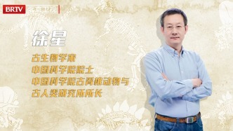 大先生丨徐星院士：以化石為筆，勾勒生命演化的壯麗圖景