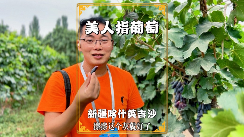 英吉沙不僅有小刀與土陶，還有好吃的美人指葡萄，體驗不輸吐魯番
