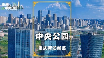 航拍重庆中央公园，高楼林立大气繁华，将来会成两江新区CBD吗