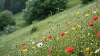 給孩子減肥，家長應(yīng)該如何行動（一）：戒不掉的“洋快餐”