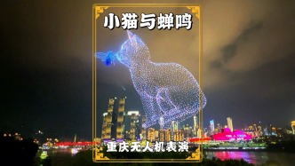重慶無(wú)人機(jī)秀：5000臺(tái)無(wú)人機(jī)化作小貓與蟬，用科技展示童趣與自然