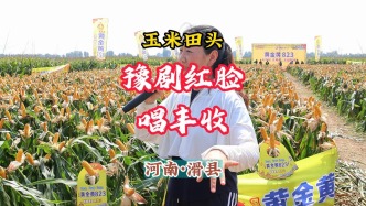 玉米田頭：豫劇紅臉唱豐收丨河南滑縣