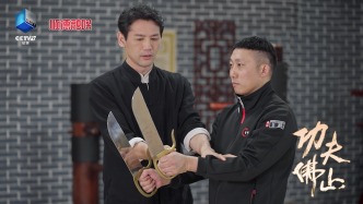 嶺南風(fēng)骨鑄新章，《功夫佛山》央視熱播背后的時代密碼