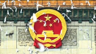 參加閱兵的鴿子都是“借”的？“出圈神圖”里的鳥是夜鷺？