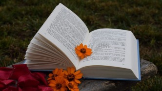 粗剪未被確認擅自開始精剪工作，服務費會受何種影響？