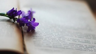 未約定電視劇發(fā)行收益分配比例，收益產(chǎn)生后應(yīng)如何分配？