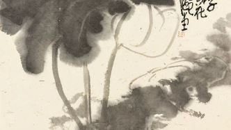 私享藝術(shù)丨張邇·臨八大山人荷花系列