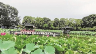 【散文】望丛祠与夜荷思语‖李志能 