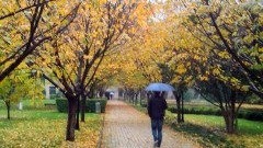 秋季是流感高發(fā)期，如何有效預防？