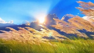 风很温柔，晚霞很浪漫，你很特别，我很喜欢