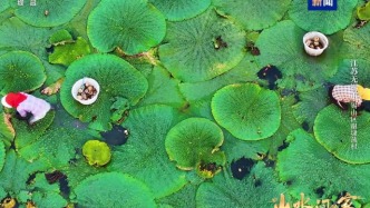 《山水间的家》新一季治愈回归，与您共赴山海新程