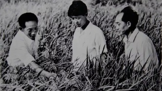 課本里的科學家｜稻浪中的“追夢人”