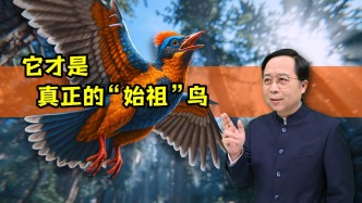 顛覆認(rèn)知！恐龍根本沒滅絕？1.5億年前的真飛鳥化石剛剛被發(fā)現(xiàn)