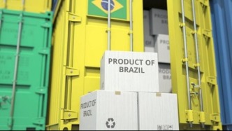  數(shù)說世界丨世界銀行發(fā)現(xiàn)巴西出口增長可推動(dòng)綠色就業(yè)