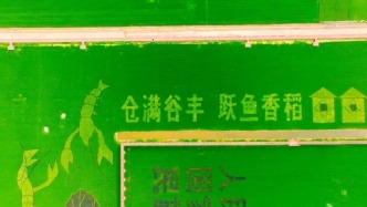 以大地为幕，以彩稻为笔，鱼台县用稻浪书写田园诗篇