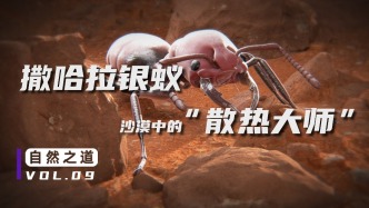 70℃高溫下“裸奔”，銀蟻的散熱“黑科技”甚至可以給航天器降溫