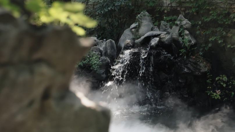 夏天里的衢州小院，慢悠悠的时光