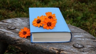 以導(dǎo)演意見(jiàn)作為劇本不合格的依據(jù)，是否合理？