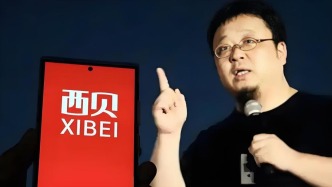 西貝“軍師”：華與華的是與非