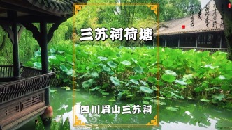 秋游眉山三蘇祠，荷塘別有韻味，殘荷碧水相映，老人悠閑其間