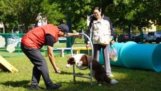 “寵愛有家 和諧亦城”北京經(jīng)開區(qū)文明養(yǎng)寵活動舉辦