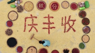 郴州嘉禾縣泉鳳村：慶豐收