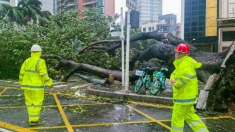 臺(tái)風(fēng)“樺加沙”登陸廣東陽(yáng)江海陵島沿海!十余省份臺(tái)風(fēng)雨強(qiáng)勁 深圳已倒伏174棵樹(shù)