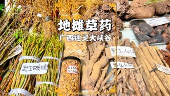 游廣西通靈大峽谷，沿途草藥攤琳瑯滿目，不愧有廣西壯藥谷之美譽