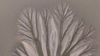 钱塘江大潮，大地之树，树木荫掩，水映蓝天