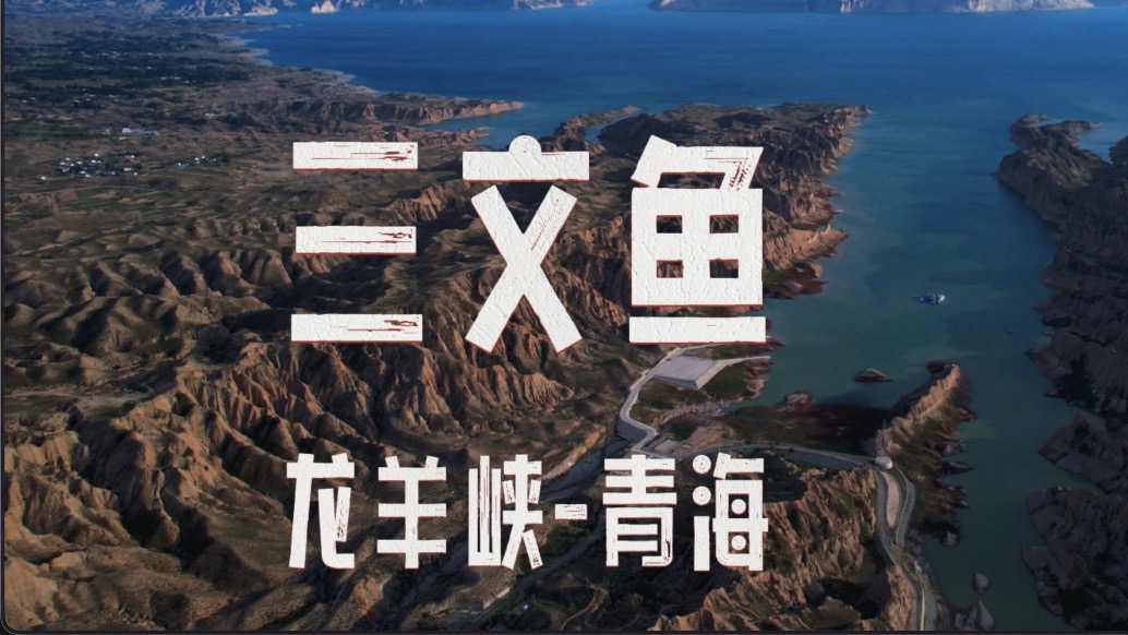 別樣甘青大環(huán)線之旅，邊賞高峽風(fēng)光，邊吃 0 寄生三文魚