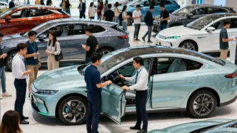 新能源車最后的瘋狂？補(bǔ)貼退坡的末班車經(jīng)濟(jì)學(xué)