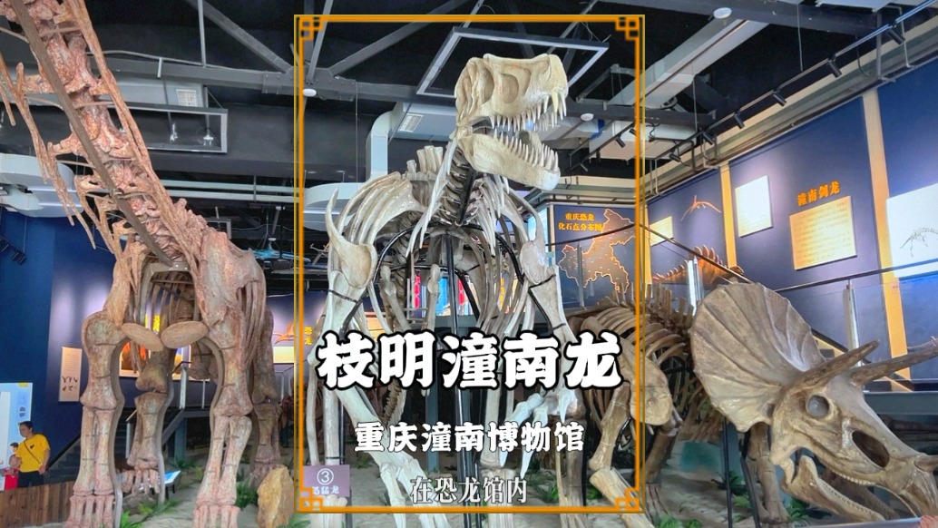 遂潼網(wǎng)絡(luò)達(dá)人潼南行：走進(jìn)潼南博物館，參觀長達(dá)28米的枝明潼南龍