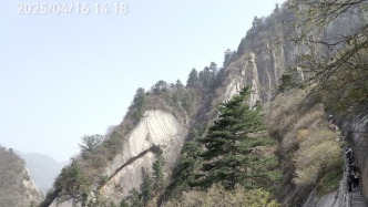 給杜甫挑錯，談何容易！