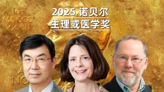 一個(gè)視頻講清楚什么是“外周免疫耐受”