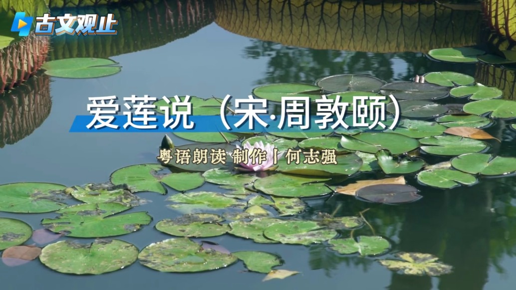 粵讀丨古文觀止之《愛蓮說》