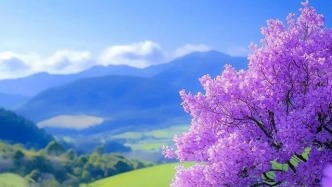 你像是晴天粉色的云彩，空气甜得坠入脑海