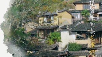 空心村變身藝術(shù)烏托邦，吸引200多位年輕人｜村莊里的中國