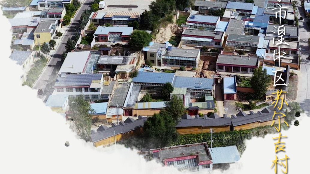 高原大蔥40小時直達北上廣！這個青海村莊靠“冷涼蔬菜”逆襲｜村莊里的中國