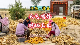 雨過天晴 晾曬玉米丨河南滑縣