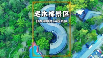 廣西小眾景區(qū)老木棉，與德天瀑布相鄰，位于中國(guó)最愛國(guó)的歸春河畔